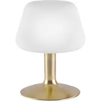 Paul Neuhaus Till lampe de table laiton mat 1xG9 3W 3000K luminaire intérieur IP20