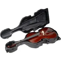 SKB 1SKB-544 coffre pour violoncelle