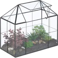 Relaxdays Terrarium végétal , verre et cuivre, 27 x 30 x 15 cm, serre décorative pour cactus et mousse, vitrine de fenêtre, noir