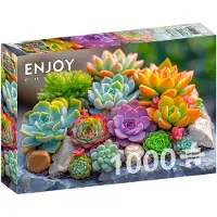Enjoy Puzzle Puzzle 1000 pièces Enjoy – Succulentes