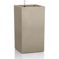 Lechuza Colonne Canto Color (30 x 30 x 56 cm)