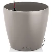 Lechuza Couleur Classico 18 (19 x 17 cm)