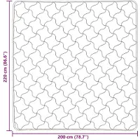vidaXL Couette d'hiver rose 200 x 220 cm en microfibre et polaire Teddy