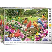 Eurographics Puzzle Rassemblement D'Oiseaux - 2000 pièces