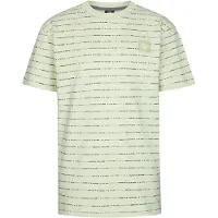 Petrol Industries T-Shirt 'Sandview' vert chiné