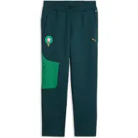 Puma Pantalon de sport 'Marokko' vert / vert foncé