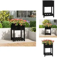 vidaXL Jardinière avec étagère Noir 54x54x81 cm Bois massif de pin