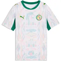 Puma T-Shirt fonctionnel 'Senegal 2026' jaune / vert / rouge / blanc
