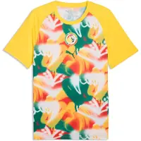 Puma Maillot 'Senegal' jaune / vert foncé / rouge / blanc