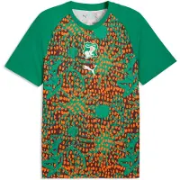 Puma Maillot échauffement Côte d'Ivoire 2026 - Vert, Vert