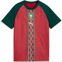 Puma T-Shirt fonctionnel 'Marokko' écru / vert foncé / rouge foncé