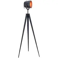 Teamson Home Lampadaire Trépied Lampe De Salon Rétro Projecteur Abat-Jour Noir Rose Doré Artiste Vn-L00021-Eu