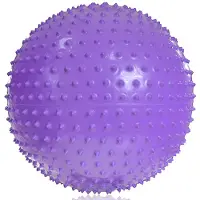 Pro-Fit PROFIT Massageball 55cm lila DK 2104