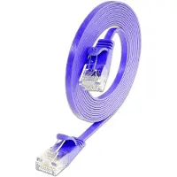 Wirewin Câble de réseau (UTP, CAT6, 20 m)