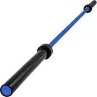 Vevor Barre d'Haltères 2,01 m Barre de Musculation Acier Allié 15 kg Résistance Traction 170 KPSI Haltérophilie Entraînement Musculation Développé Couché Squats pour Plaques de 50 mm Femmes Gym