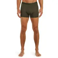 Icebreaker Merino 125 Cool-lite Anatomica Boxers Vert,Gris XL Homme