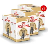 Royal Canin British Shorthair Adult Wet - 36 x 85 g