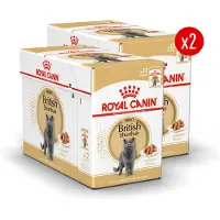 Royal Canin British Shorthair Adult Wet - 24 x 85 g