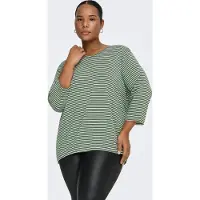 ONLY Carmakoma T-shirt 'CARLina' vert foncé / blanc