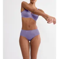 Triumph Slip ' Red Label Essential Minimizer ' violet