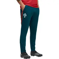 Puma Pantalon de sport 'Portugal' vert / vert foncé / rouge foncé