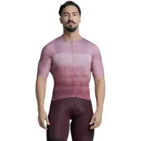 Etxeondo Alai Short Sleeve Jersey Violet 2XL Homme