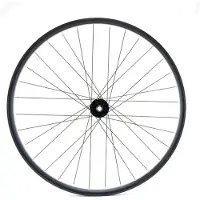 La ruota Vtt/vae 29´´ Boost Disc Mtb Front Wheel Argenté 15 x 110 mm