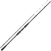 Captain James Canne Jigging Sea Master Bottom