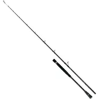 Colmic Canne Jigging Naxos Casting