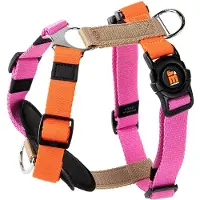 My Family Harnais Pour Chien Memopet H Adjustable
