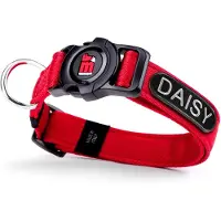 My Family Collier De Chien Memopet Id