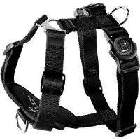 My Family Harnais Pour Chien Memopet H Adjustable