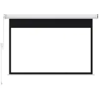 BlitzWolf - BW-VS13 100-inch - Écran de projection
