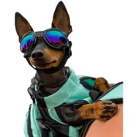 K9 Sport Sack K9 Sport Shades Lunettes de soleil pour chien - Noir