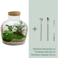 Urbanjngl Terrarium Diy - Fat Joe - 30 Cm