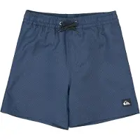 Quiksilver Everyday Deluxe Volley 14´´ Swimming Shorts Bleu 16 Years Garçon