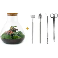 Urbanjngl Terrarium Diy - Sam Xl Red - ↕ 35 Cm