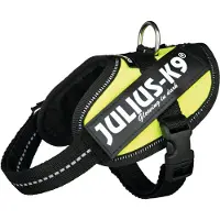 JULIUS K-9 IDC Powergeschirr Baby 2/Mini-Mini/Mini 33–45 cm/18 mm vert fluo