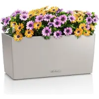 Lechuza BALCONERA Color 40 (40 x 19 x 19 cm)
