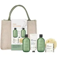 BAYLIS & HARDING Wellness. Energise coffret cadeau trousse de toilette Ginger, Lime & Basil Leaf