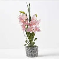Homescapes Orchidée artificielle rose en pot foncé en ciment 58 cm