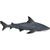 Animal planet requin-taureau