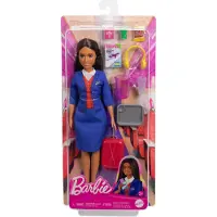 Barbie HYT60, Poupée mannequin, Femmes, 3 ans/ans, Garçon/fille, 180 mm, 14 g