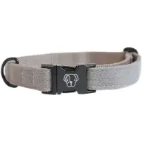 Kentucky Collier De Chien Lizard