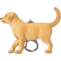 MOJO Labrador