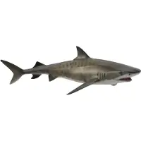 Collecta Figurine de requin tigre peinte à la main de L