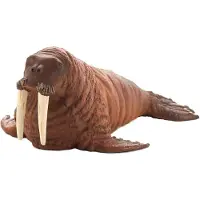 Animal planet Walrus