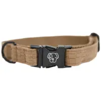 Kentucky Collier De Chien Lizard