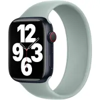 Apple Bracelet solo en silicone pour Watch | 38/40/41/42 mm - Taille 6 - Succulent