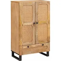vidaXL Highboard avec rangement Marron 40 x 33 x 110 cm Bois massif de manguier